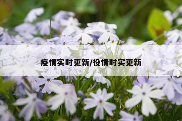 疫情实时更新/役情时实更新
