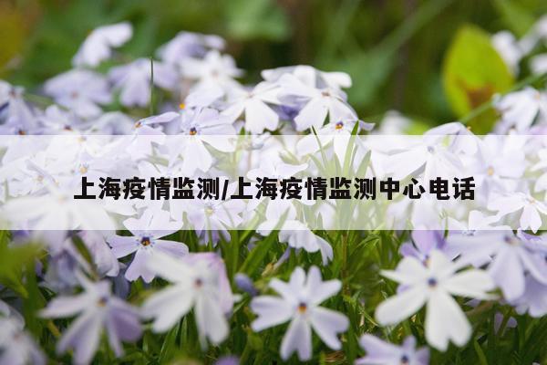 上海疫情监测/上海疫情监测中心电话