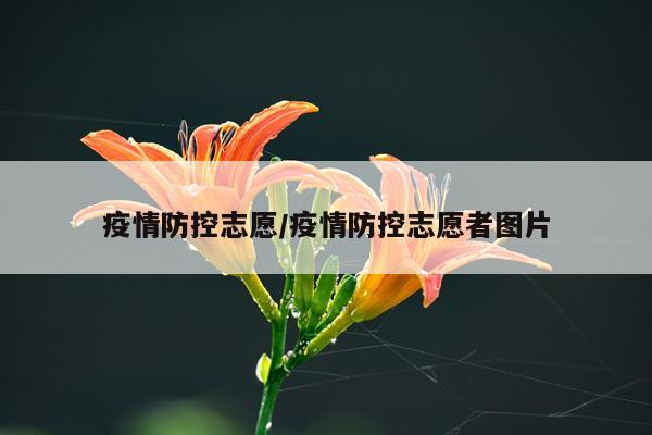 疫情防控志愿/疫情防控志愿者图片