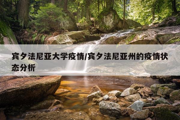 宾夕法尼亚大学疫情/宾夕法尼亚州的疫情状态分析