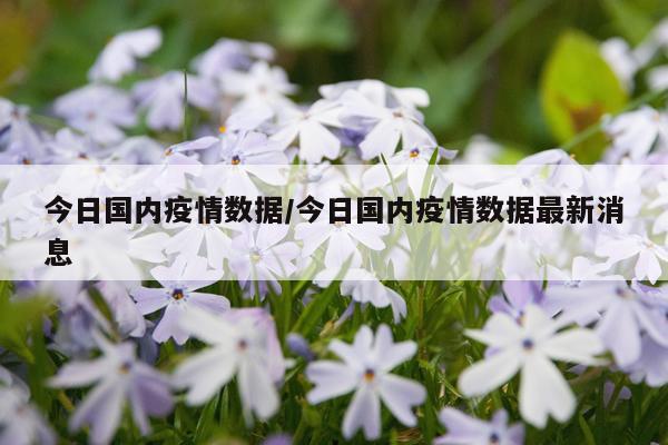 今日国内疫情数据/今日国内疫情数据最新消息
