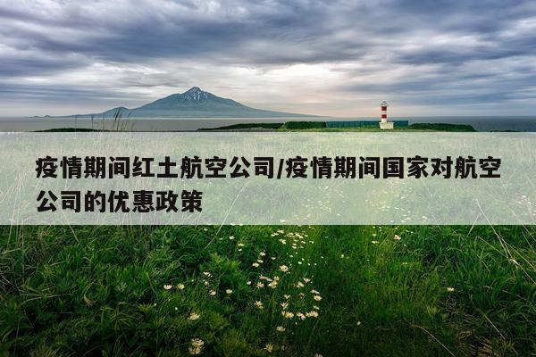 疫情期间红土航空公司/疫情期间国家对航空公司的优惠政策