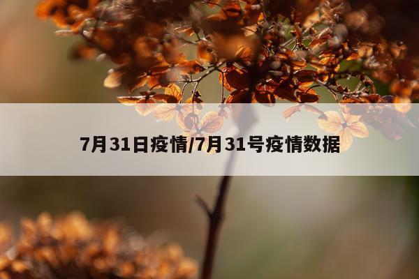 7月31日疫情/7月31号疫情数据