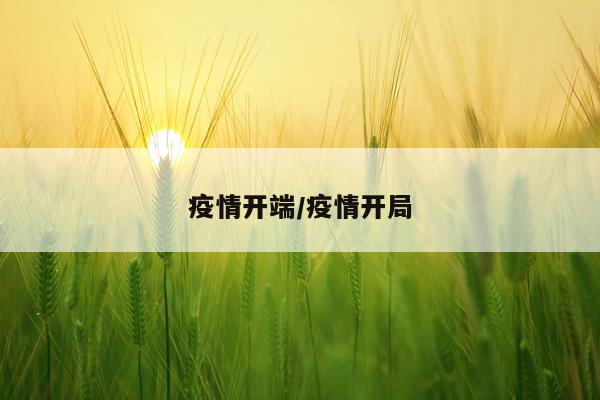 疫情开端/疫情开局
