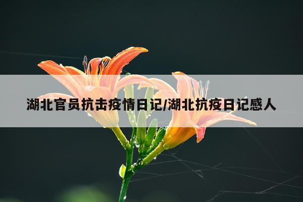 湖北官员抗击疫情日记/湖北抗疫日记感人