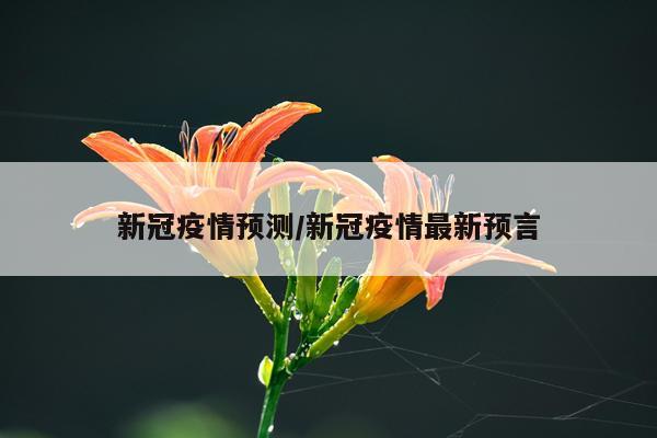 新冠疫情预测/新冠疫情最新预言