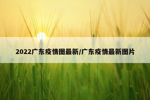 2022广东疫情图最新/广东疫情最新图片