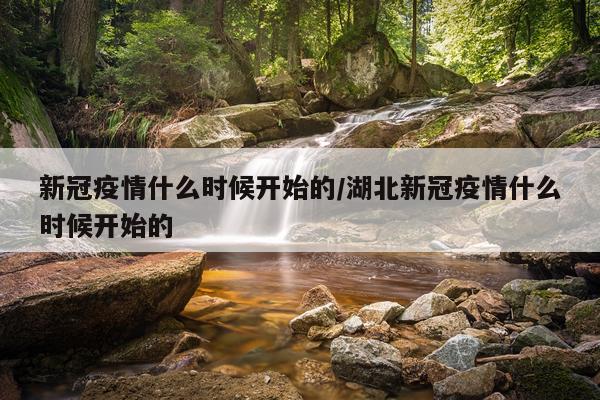 新冠疫情什么时候开始的/湖北新冠疫情什么时候开始的