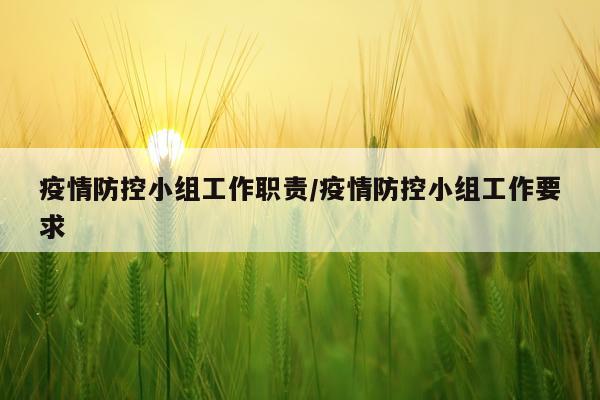 疫情防控小组工作职责/疫情防控小组工作要求