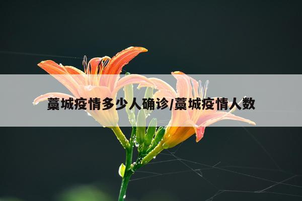 藁城疫情多少人确诊/藁城疫情人数