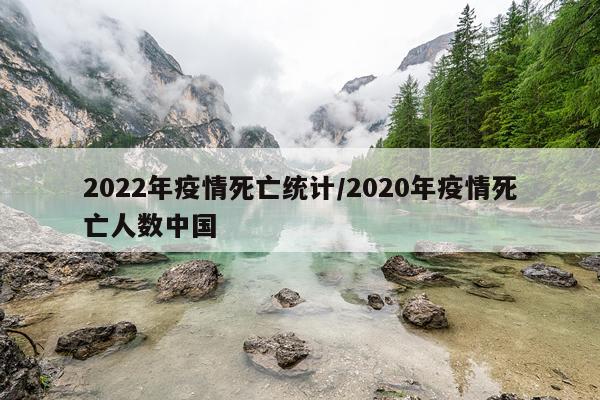 2022年疫情死亡统计/2020年疫情死亡人数中国