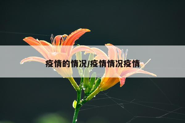 疫情的情况/疫情情况疫情
