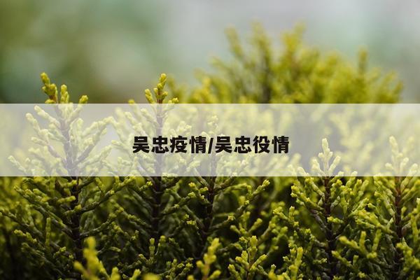 吴忠疫情/吴忠役情