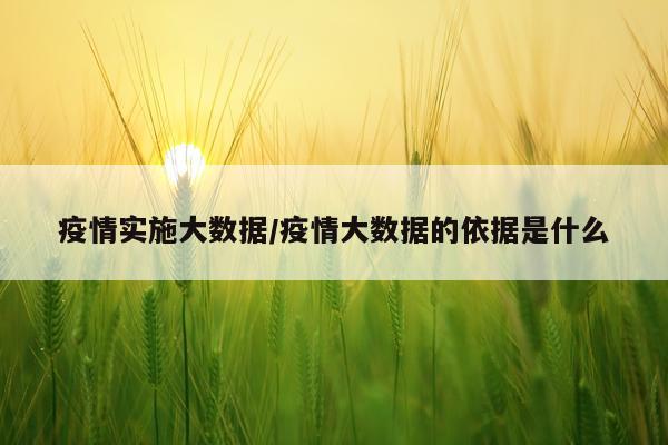 疫情实施大数据/疫情大数据的依据是什么
