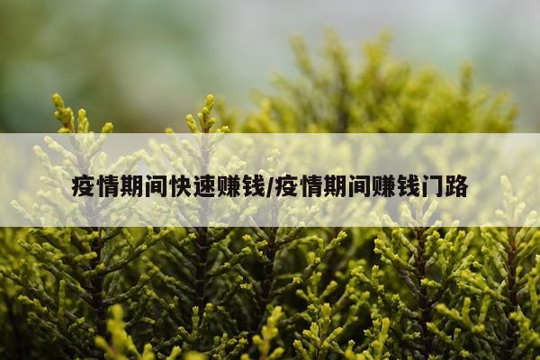 疫情期间快速赚钱/疫情期间赚钱门路