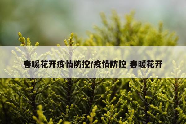 春暖花开疫情防控/疫情防控 春暖花开