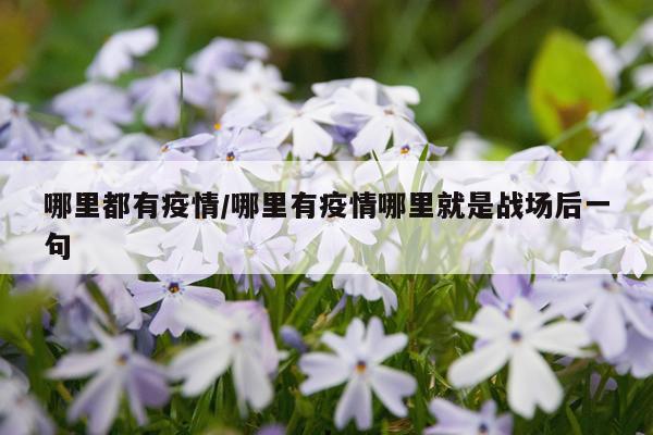 哪里都有疫情/哪里有疫情哪里就是战场后一句