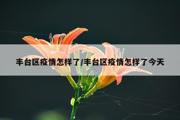 丰台区疫情怎样了/丰台区疫情怎样了今天