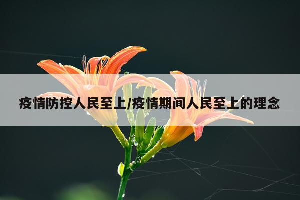 疫情防控人民至上/疫情期间人民至上的理念