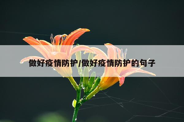 做好疫情防护/做好疫情防护的句子