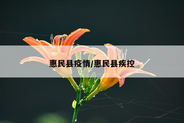 惠民县疫情/惠民县疾控