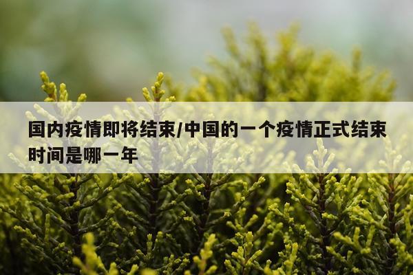 国内疫情即将结束/中国的一个疫情正式结束时间是哪一年