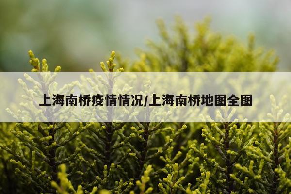 上海南桥疫情情况/上海南桥地图全图