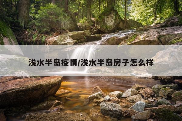 浅水半岛疫情/浅水半岛房子怎么样