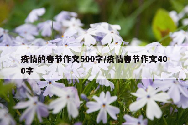 疫情的春节作文500字/疫情春节作文400字