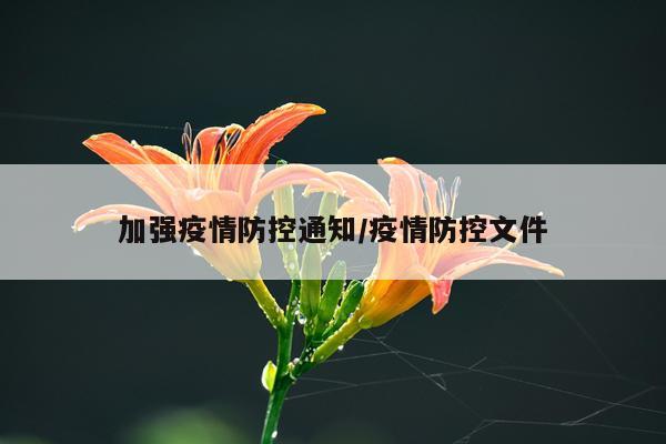 加强疫情防控通知/疫情防控文件