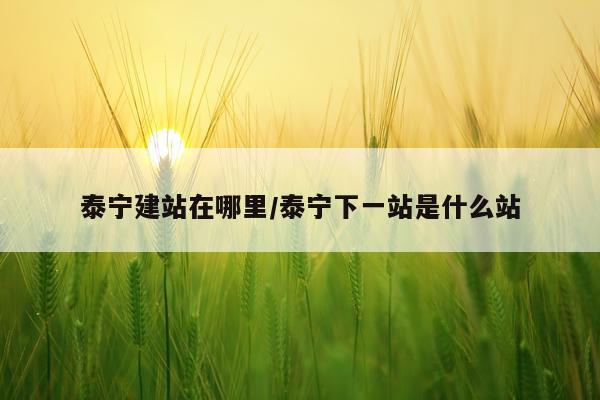 泰宁建站在哪里/泰宁下一站是什么站