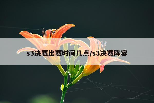 s3决赛比赛时间几点/s3决赛阵容