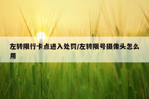 左转限行卡点进入处罚/左转限号摄像头怎么用