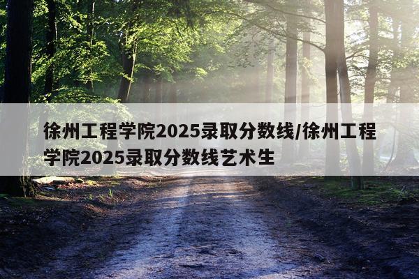徐州工程学院2025录取分数线/徐州工程学院2025录取分数线艺术生