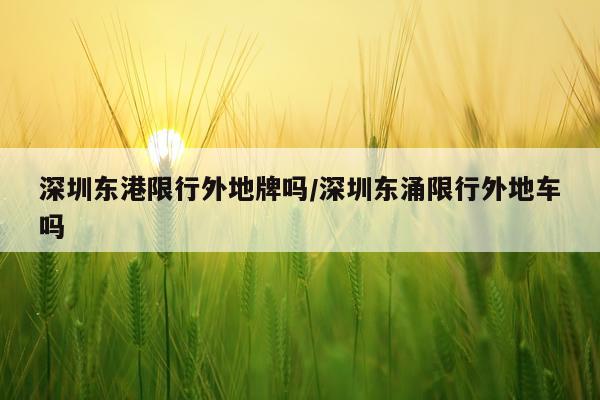 深圳东港限行外地牌吗/深圳东涌限行外地车吗