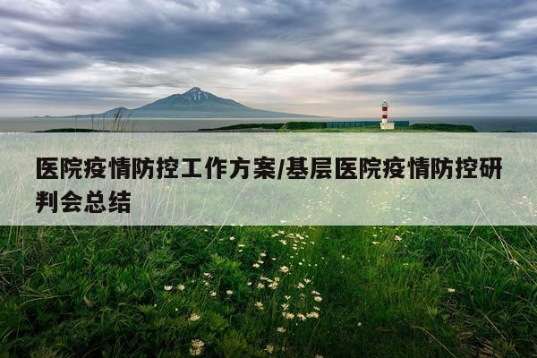 医院疫情防控工作方案/基层医院疫情防控研判会总结