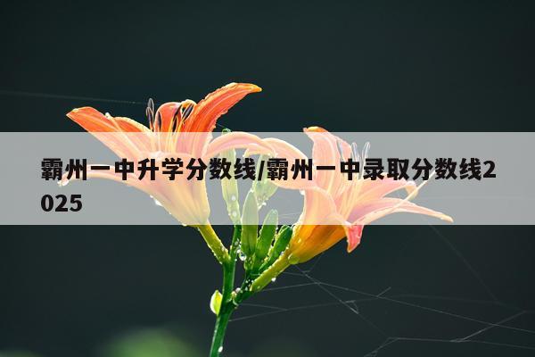 霸州一中升学分数线/霸州一中录取分数线2025