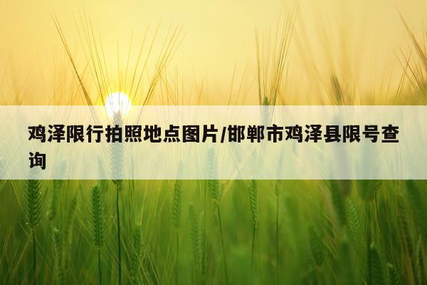 鸡泽限行拍照地点图片/邯郸市鸡泽县限号查询