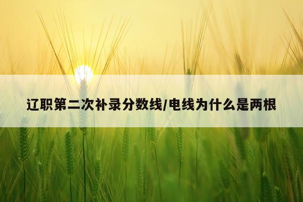 辽职第二次补录分数线/电线为什么是两根