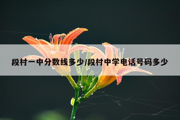 段村一中分数线多少/段村中学电话号码多少