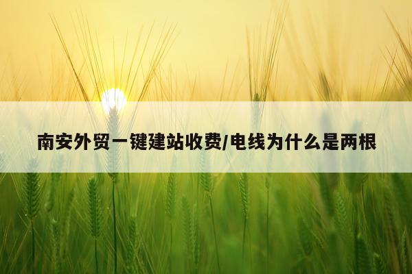 南安外贸一键建站收费/电线为什么是两根