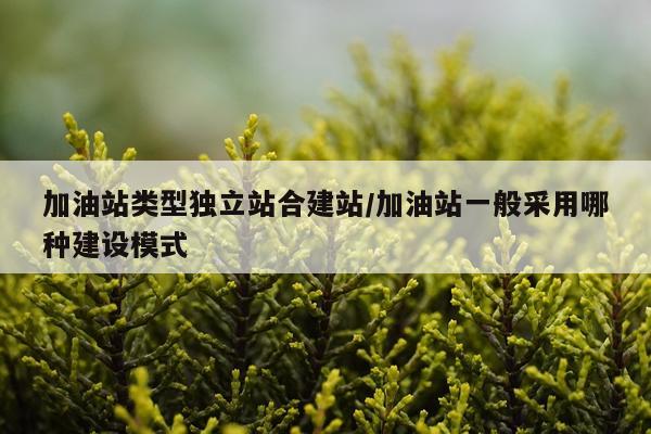 加油站类型独立站合建站/加油站一般采用哪种建设模式