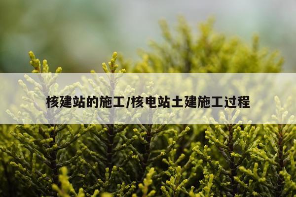 核建站的施工/核电站土建施工过程