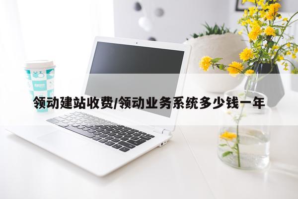 领动建站收费/领动业务系统多少钱一年