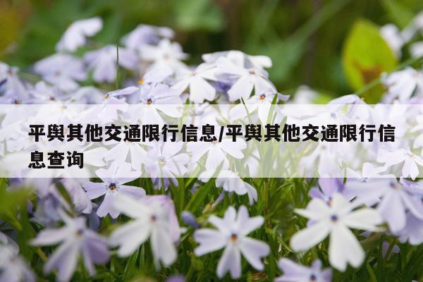 平舆其他交通限行信息/平舆其他交通限行信息查询