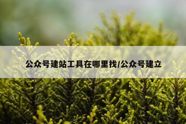 公众号建站工具在哪里找/公众号建立