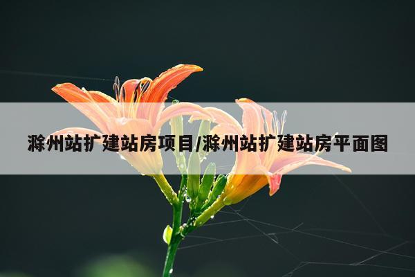 滁州站扩建站房项目/滁州站扩建站房平面图