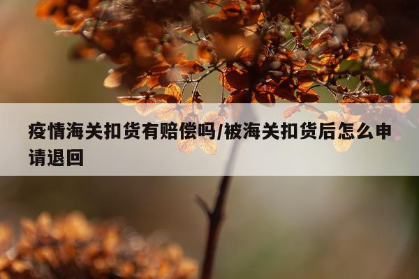 疫情海关扣货有赔偿吗/被海关扣货后怎么申请退回