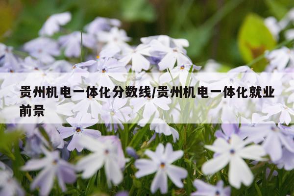 贵州机电一体化分数线/贵州机电一体化就业前景