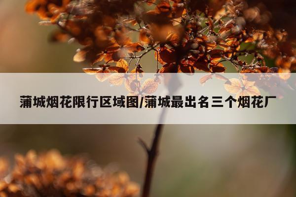 蒲城烟花限行区域图/蒲城最出名三个烟花厂
